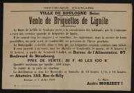 Vente de briquettes de lignite,