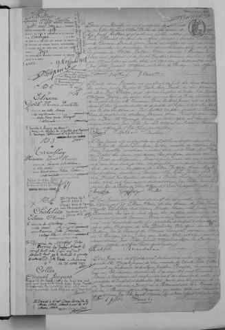 Naissance, enregistrement : Registre de 1919