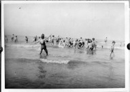 Colonies de Ver-sur-Mer