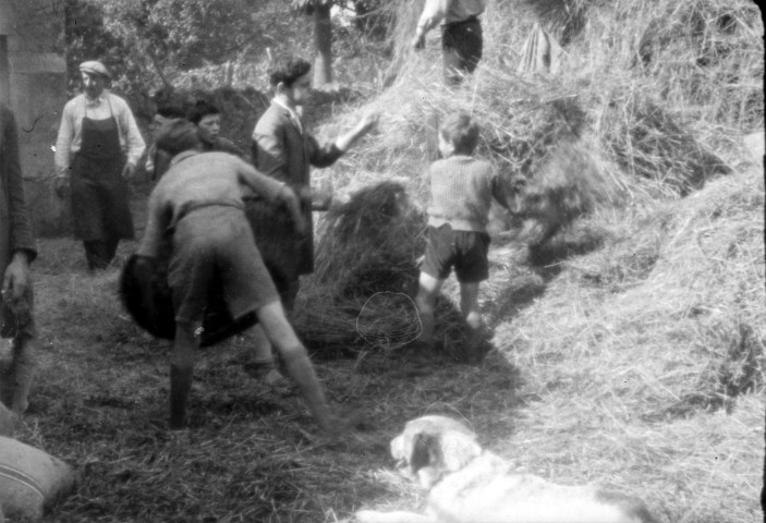 Colonies de vacances