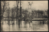 101 - Saint-Cloud. - Le Parc: inondation complète de l'allée du monument et environs (s.d.).
