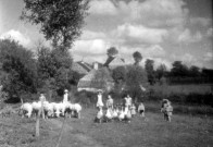 Colonies de vacances