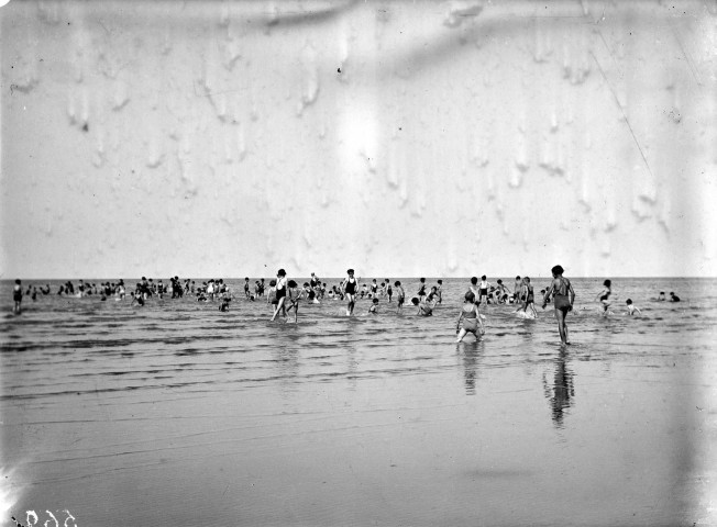 Colonies de Ver sur Mer