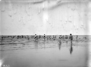 Colonies de Ver sur Mer