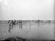 Colonies de Ver sur Mer