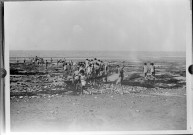 Colonies de Ver-sur-Mer
