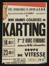 Deux grandes courses de karting,