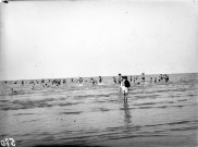 Colonies de Ver sur Mer